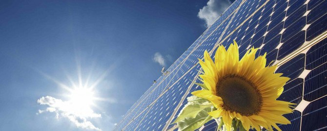 Image of solar PV panels and a sunflower to underline nature of the product