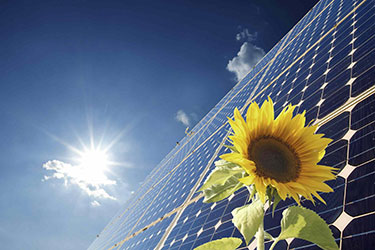 Image of solar PV panels and a sunflower to underline nature of the product